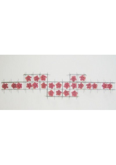Painel em  ferro Grade avião com 24 rosas 